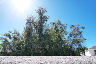 Great opportunity to buy and build or invest and wait. Location on Port Charlotte Golf Club in Florida - for sale on GolfHomes.com, golf home, golf lot
