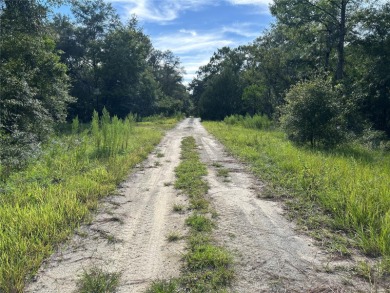 WOODED 1/4 ACRE BUILDING LOT! Williston Highlands Golf & Country on Williston Highlands Golf and Country Club in Florida - for sale on GolfHomes.com, golf home, golf lot