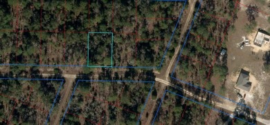 WOODED 1/4 ACRE BUILDING LOT! Williston Highlands Golf & Country on Williston Highlands Golf and Country Club in Florida - for sale on GolfHomes.com, golf home, golf lot