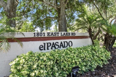 Immaculate Condo in the Heart of East Lake. Nature Views on Tarpon Woods Golf Club in Florida - for sale on GolfHomes.com, golf home, golf lot