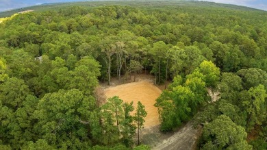 Nestled on a sprawling .6-acre canvas, this prime piece of land on Rayburn Country Club in Texas - for sale on GolfHomes.com, golf home, golf lot