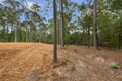 Nestled on a sprawling .6-acre canvas, this prime piece of land on Rayburn Country Club in Texas - for sale on GolfHomes.com, golf home, golf lot