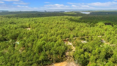 Serene Haven at Rayburn Country: Embrace the Tranquility of Lake on Rayburn Country Club in Texas - for sale on GolfHomes.com, golf home, golf lot