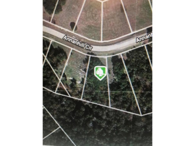Excellent homesite, spectacular views...Resort-style living at on The Retreat in Texas - for sale on GolfHomes.com, golf home, golf lot
