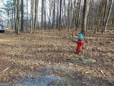 High elevation building lot with a great view at the top of Wild on Sky Valley Resort and Country Club in Georgia - for sale on GolfHomes.com, golf home, golf lot