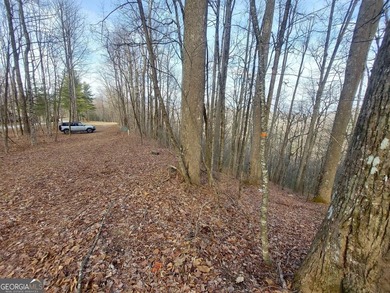 High elevation building lot with a great view at the top of Wild on Sky Valley Resort and Country Club in Georgia - for sale on GolfHomes.com, golf home, golf lot