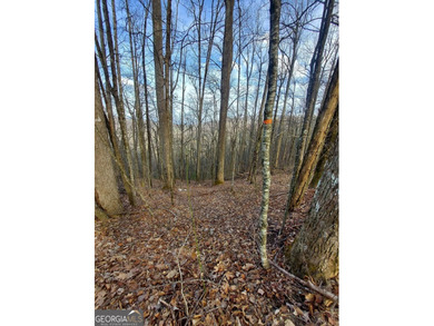 High elevation building lot with a great view at the top of Wild on Sky Valley Resort and Country Club in Georgia - for sale on GolfHomes.com, golf home, golf lot