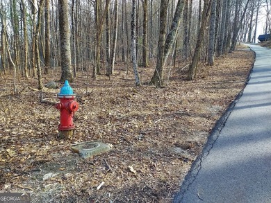 High elevation building lot with a great view at the top of Wild on Sky Valley Resort and Country Club in Georgia - for sale on GolfHomes.com, golf home, golf lot