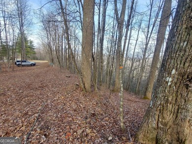 High elevation building lot with a great view at the top of Wild on Sky Valley Resort and Country Club in Georgia - for sale on GolfHomes.com, golf home, golf lot