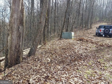 High elevation building lot with a great view at the top of Wild on Sky Valley Resort and Country Club in Georgia - for sale on GolfHomes.com, golf home, golf lot