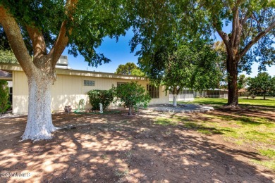 Welcome to this charming 2-bed, 2-bath Gemini home in the heart on Sun City Lakes West and East in Arizona - for sale on GolfHomes.com, golf home, golf lot