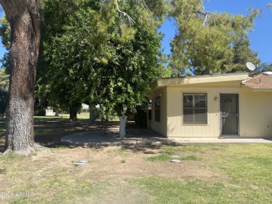 Welcome to this charming 2-bed, 2-bath Gemini home in the heart on Sun City Lakes West and East in Arizona - for sale on GolfHomes.com, golf home, golf lot