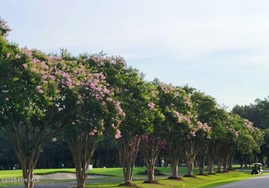 Golf Course Living--Now an Even Better Deal!

The price just on Sound Golf Links at Albemarle Plantation in North Carolina - for sale on GolfHomes.com, golf home, golf lot