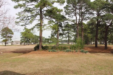 Expansive golf course view from the back yard of this home on Burning Ridge Golf Course in South Carolina - for sale on GolfHomes.com, golf home, golf lot