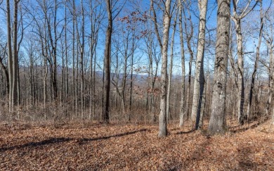 Views, views, views! When you decide to build a home in the on Brasstown Valley Resort and Spa in Georgia - for sale on GolfHomes.com, golf home, golf lot