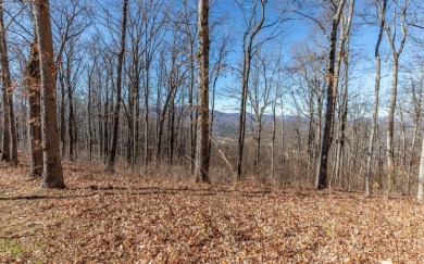 Views, views, views! When you decide to build a home in the on Brasstown Valley Resort and Spa in Georgia - for sale on GolfHomes.com, golf home, golf lot