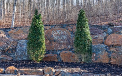 Views, views, views! When you decide to build a home in the on Brasstown Valley Resort and Spa in Georgia - for sale on GolfHomes.com, golf home, golf lot