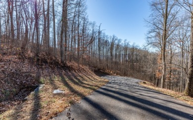 Views, views, views! When you decide to build a home in the on Brasstown Valley Resort and Spa in Georgia - for sale on GolfHomes.com, golf home, golf lot