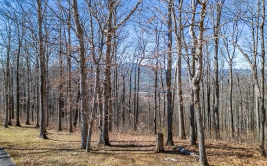 Views, views, views! When you decide to build a home in the on Brasstown Valley Resort and Spa in Georgia - for sale on GolfHomes.com, golf home, golf lot