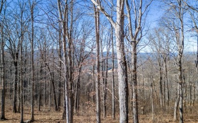 Views, views, views! When you decide to build a home in the on Brasstown Valley Resort and Spa in Georgia - for sale on GolfHomes.com, golf home, golf lot