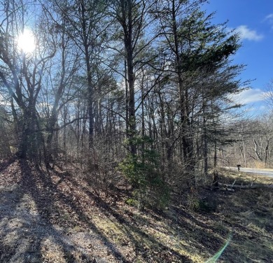 Have you been looking for a beautiful lot to build your dream on Druid Hills Golf Club in Tennessee - for sale on GolfHomes.com, golf home, golf lot