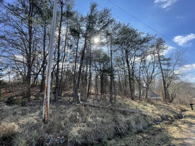 Have you been looking for a beautiful lot to build your dream on Druid Hills Golf Club in Tennessee - for sale on GolfHomes.com, golf home, golf lot