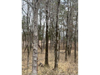 Beautiful buildable large lot .96 of a acre backing up to the on Isabella Golf Course  in Arkansas - for sale on GolfHomes.com, golf home, golf lot