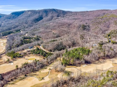Carolina on your mind? You won't want to miss this unique on Brights Creek Golf Course in North Carolina - for sale on GolfHomes.com, golf home, golf lot