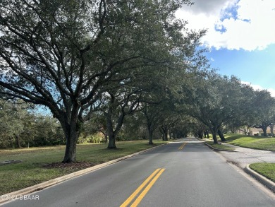 This property is nestled in between one of two famous LPGA golf on LPGA International Golf Course in Florida - for sale on GolfHomes.com, golf home, golf lot