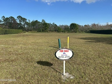 This property is nestled in between one of two famous LPGA golf on LPGA International Golf Course in Florida - for sale on GolfHomes.com, golf home, golf lot