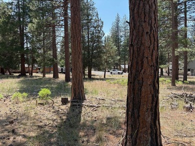 This is a fantastic opportunity to own 2 side by side parcels on on Lake Shastina Golf Course in California - for sale on GolfHomes.com, golf home, golf lot