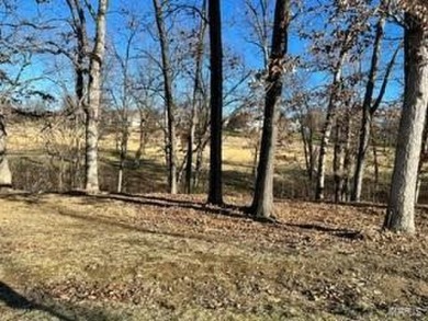 Incredible .56+ acre wooded golf course lot with a water view - on Whitmoor Country Club  in Missouri - for sale on GolfHomes.com, golf home, golf lot