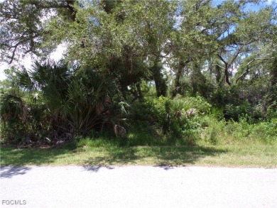 This OVERSIZED lot is just under 1/2 Acre, on a quiet street on Sabal Trace Golf and Country Club in Florida - for sale on GolfHomes.com, golf home, golf lot