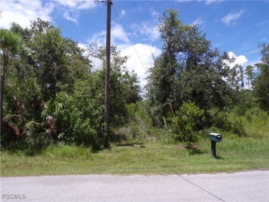 This OVERSIZED lot is just under 1/2 Acre, on a quiet street on Sabal Trace Golf and Country Club in Florida - for sale on GolfHomes.com, golf home, golf lot
