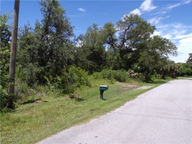 This OVERSIZED lot is just under 1/2 Acre, on a quiet street on Sabal Trace Golf and Country Club in Florida - for sale on GolfHomes.com, golf home, golf lot