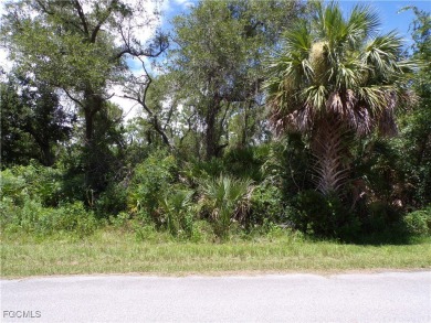 This OVERSIZED lot is just under 1/2 Acre, on a quiet street on Sabal Trace Golf and Country Club in Florida - for sale on GolfHomes.com, golf home, golf lot