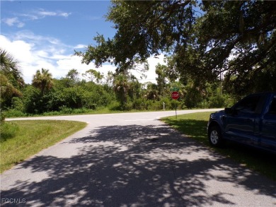 This OVERSIZED lot is just under 1/2 Acre, on a quiet street on Sabal Trace Golf and Country Club in Florida - for sale on GolfHomes.com, golf home, golf lot