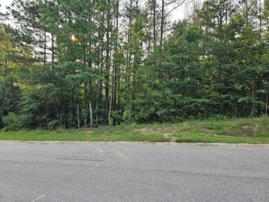 Looking for a lot on the golf course in Mount Vintage? Welcome on Mount Vintage Plantation and Golf Club  in South Carolina - for sale on GolfHomes.com, golf home, golf lot