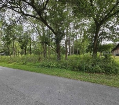 Welcome to this lovely community in  Lake Bernadette . This on The Links of Lake Bernadette in Florida - for sale on GolfHomes.com, golf home, golf lot