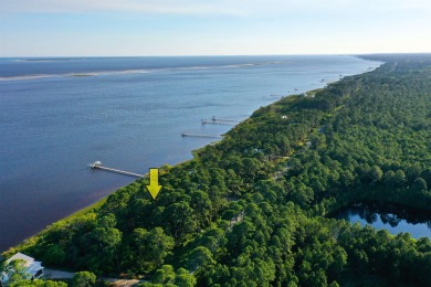 Welcome to your slice of paradise on Florida's Forgotten Coast! on St. James Bay in Florida - for sale on GolfHomes.com, golf home, golf lot