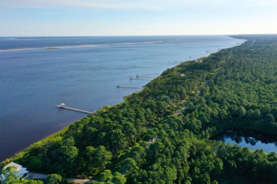 Welcome to your slice of paradise on Florida's Forgotten Coast! on St. James Bay in Florida - for sale on GolfHomes.com, golf home, golf lot