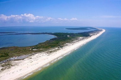 Welcome to your slice of paradise on Florida's Forgotten Coast! on St. James Bay in Florida - for sale on GolfHomes.com, golf home, golf lot