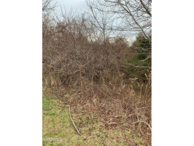 Want a nice building lot that backs up to the golf course and on Woodlake Golf Club in Tennessee - for sale on GolfHomes.com, golf home, golf lot