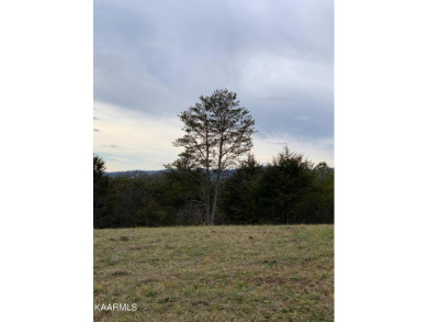 Want a nice building lot that backs up to the golf course and on Woodlake Golf Club in Tennessee - for sale on GolfHomes.com, golf home, golf lot