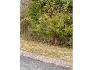 Want a nice building lot that backs up to the golf course and on Woodlake Golf Club in Tennessee - for sale on GolfHomes.com, golf home, golf lot