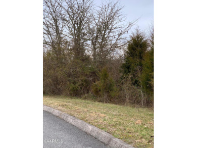 Want a nice building lot that backs up to the golf course and on Woodlake Golf Club in Tennessee - for sale on GolfHomes.com, golf home, golf lot