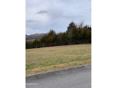 Want a nice building lot that backs up to the golf course and on Woodlake Golf Club in Tennessee - for sale on GolfHomes.com, golf home, golf lot