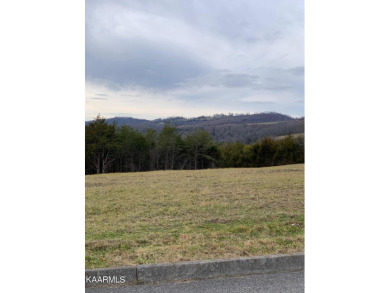 Want a nice building lot that backs up to the golf course and on Woodlake Golf Club in Tennessee - for sale on GolfHomes.com, golf home, golf lot