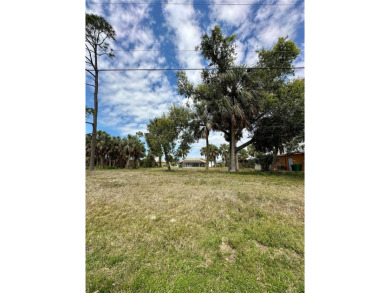 Imagine the possibilities with this spacious vacant lot in the on Rotonda Golf and Country Club - Long Marsh  in Florida - for sale on GolfHomes.com, golf home, golf lot