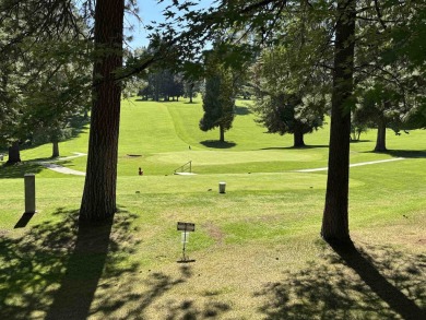 Perfectly positioned on the golf course and just one block from on Lake Almanor Country Club in California - for sale on GolfHomes.com, golf home, golf lot